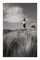 Big Sable Point Lighthouse I BW Poster Print by Alan Majchrowicz - Item # VARPDX50034